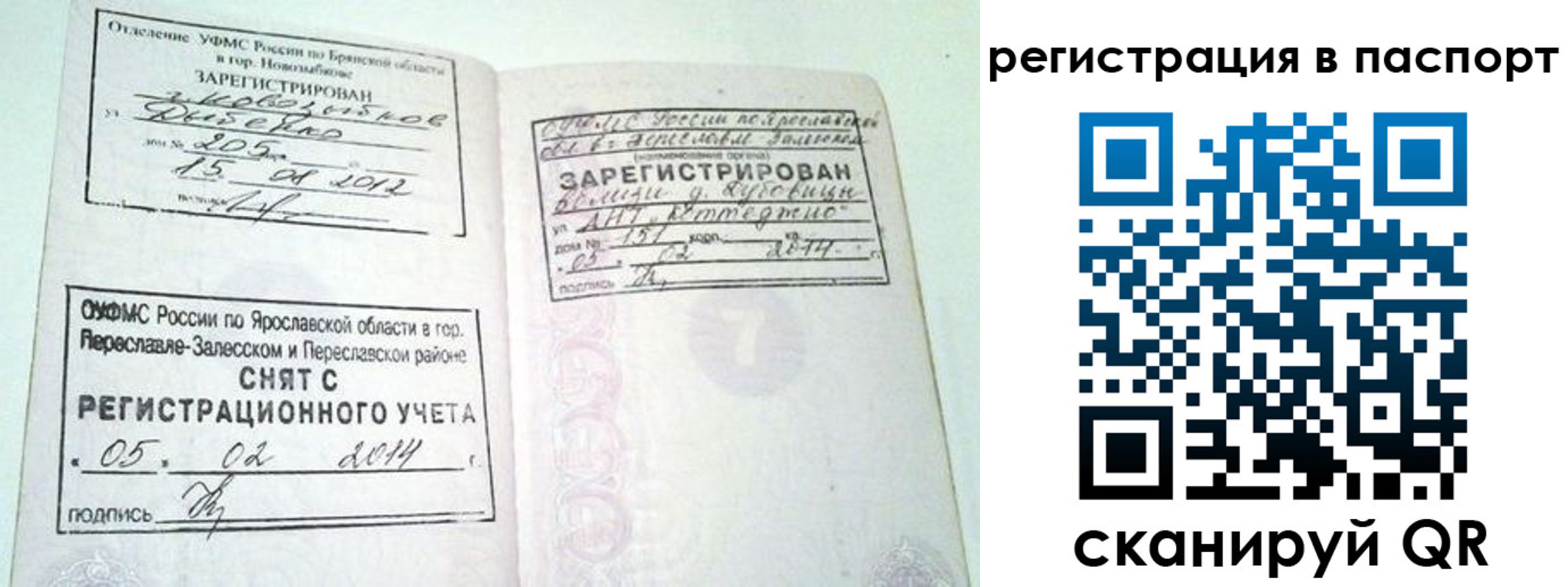 прописка в квартире в Тайге